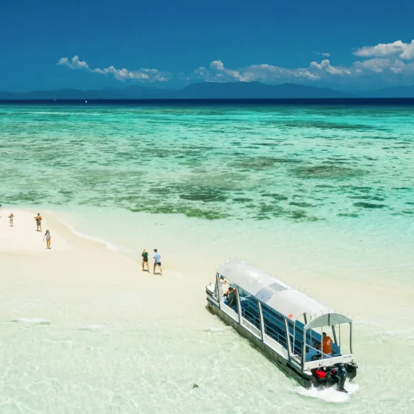 tours from sydney to cairns