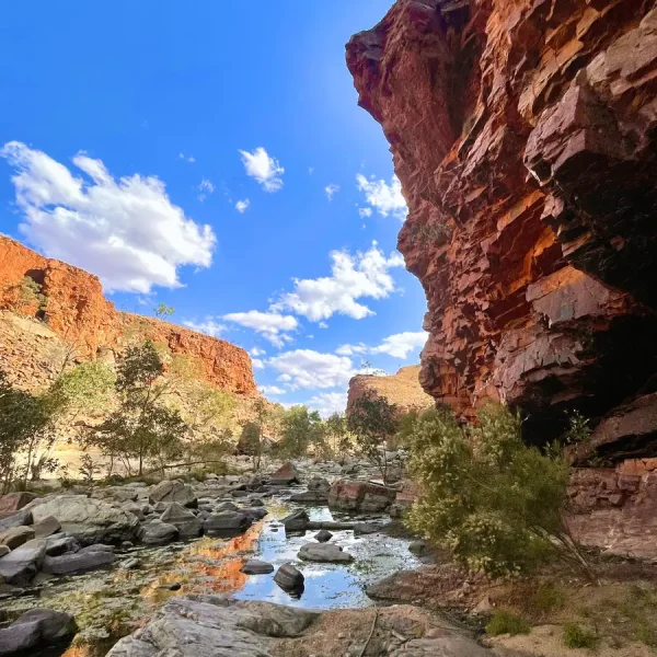 tours in alice springs