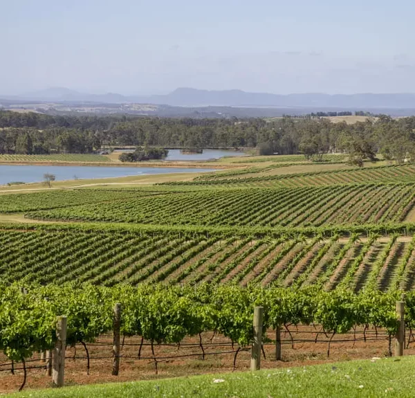 tours in hunter valley