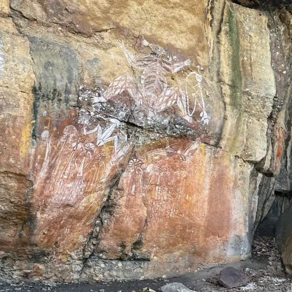 tours in kakadu
