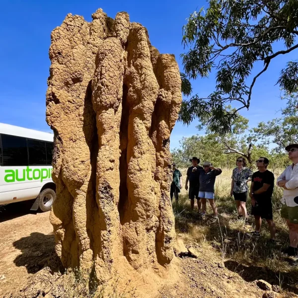 tours kakadu