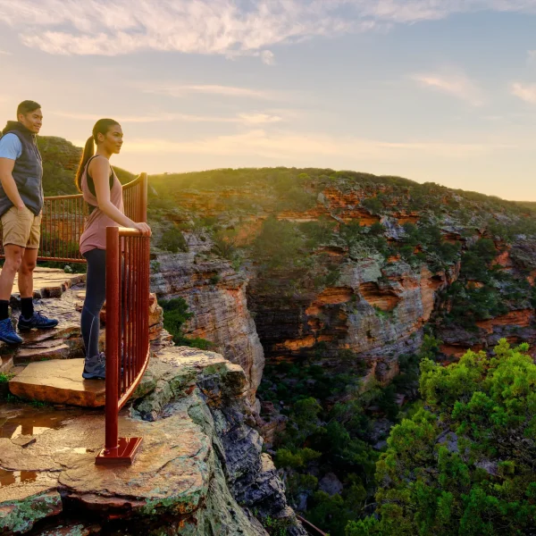 tours monkey mia western australia