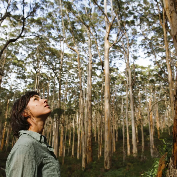 tours of margaret river
