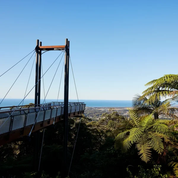tours to cairns from sydney