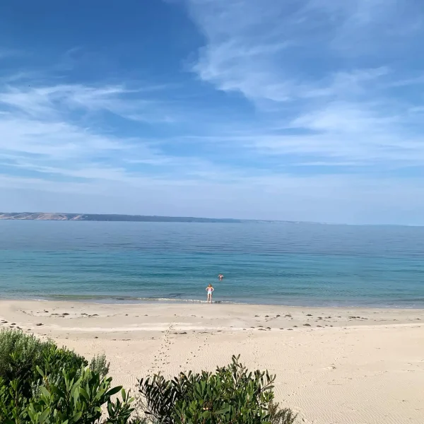 trips to kangaroo island