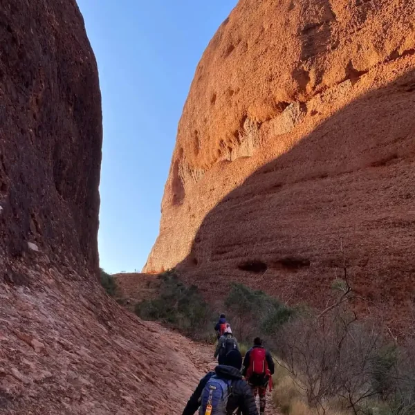 ularu tours