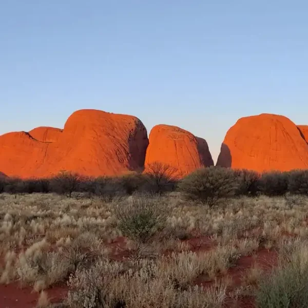 uluru bushwalking tours