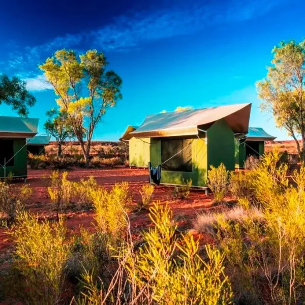 uluru kings canyon olgas tour