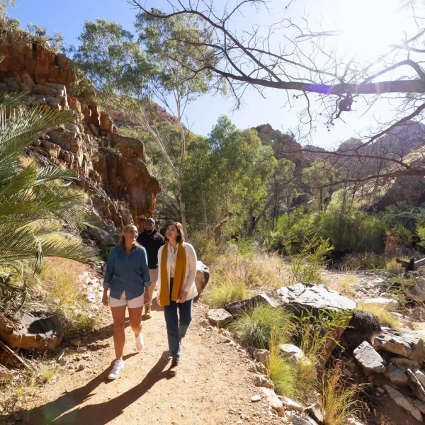 uluru to alice springs tour