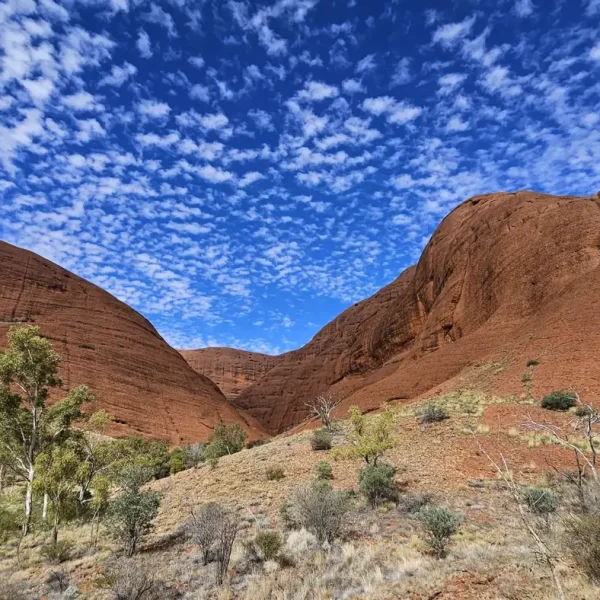 uluru tours 3 days