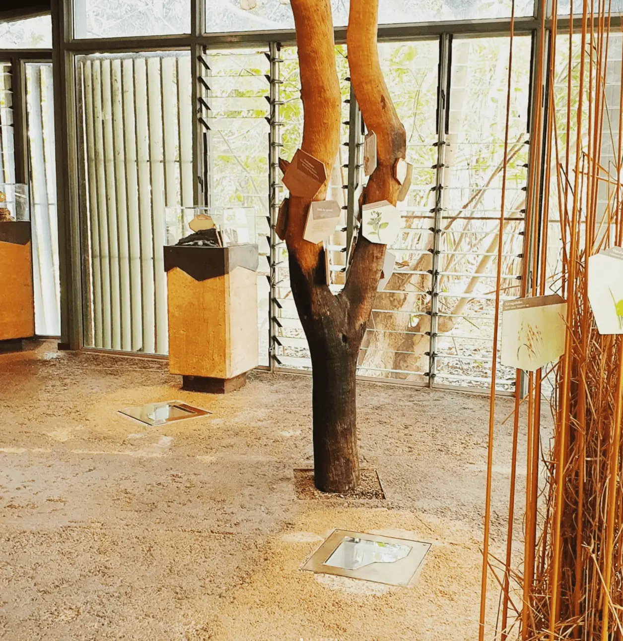 warradjan cultural centre