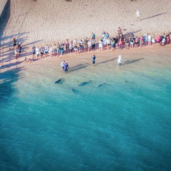western australia tours from perth