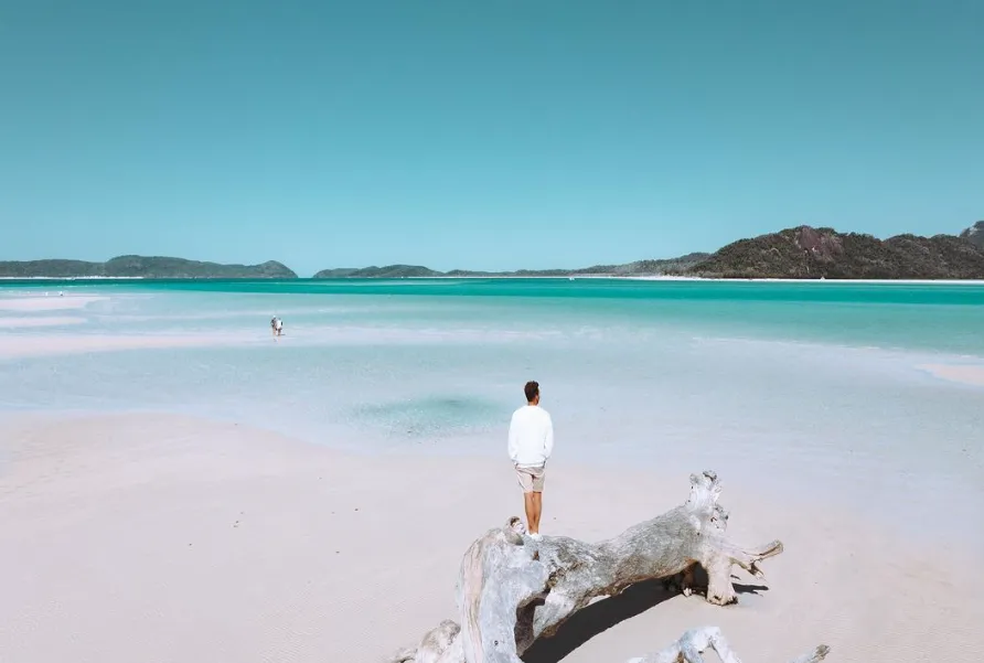 whitsunday things to do