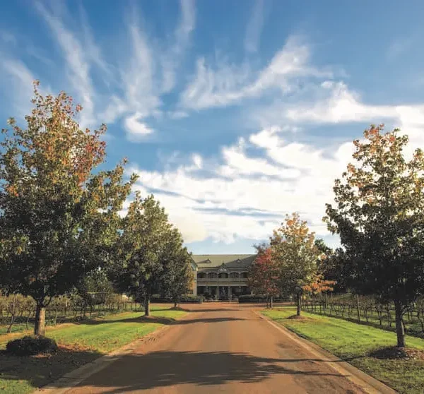 best hunter valley wine tour