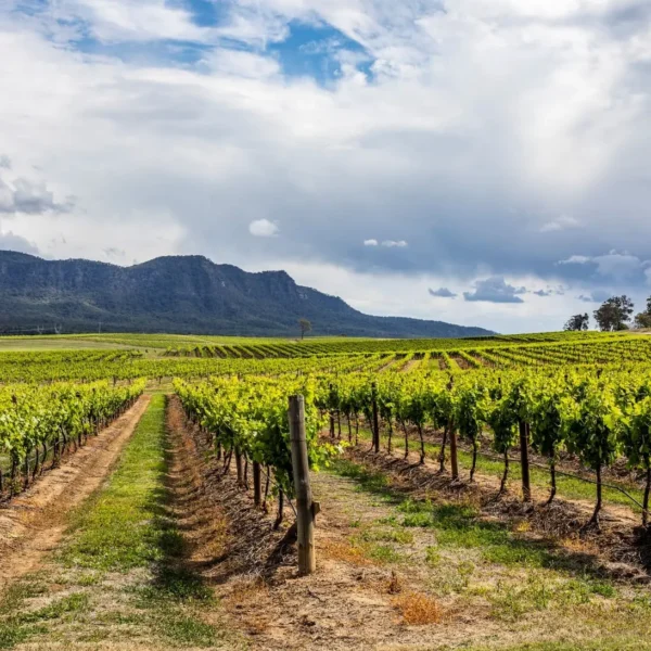 hunter valley private wine tours