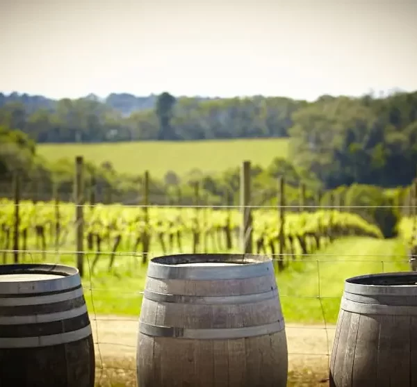 winery tours mornington