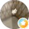 Moi Moi Avatar