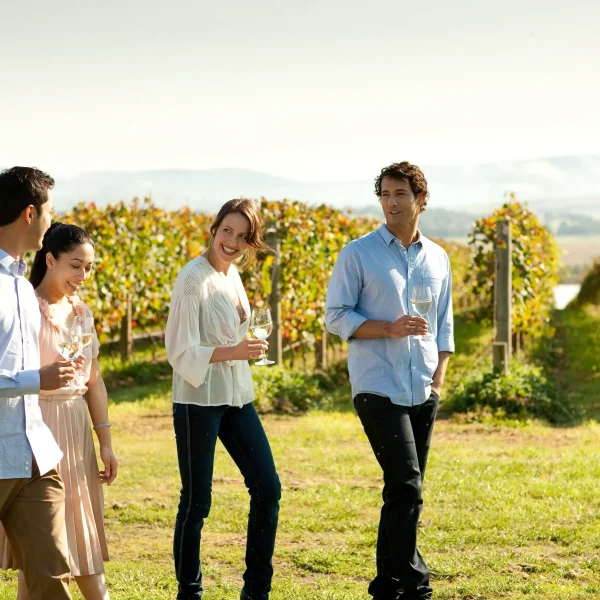 yarra valley wine tour