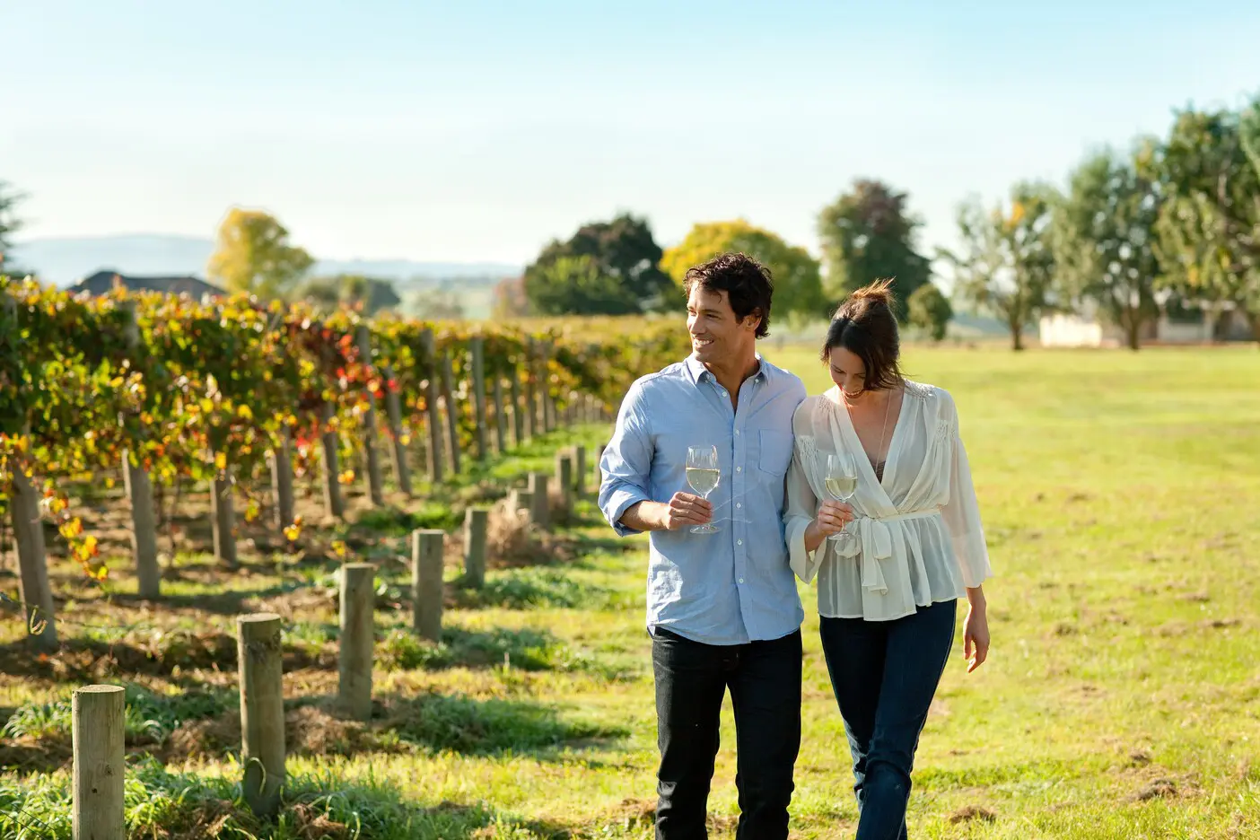yarra valley winery tours from melbourne